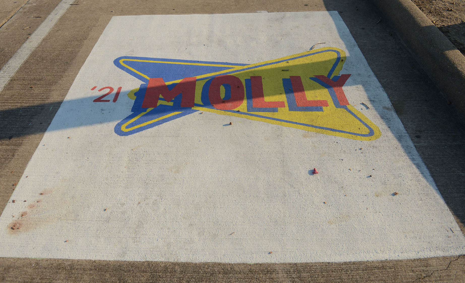 A&M Consolidated HS painted parking spots